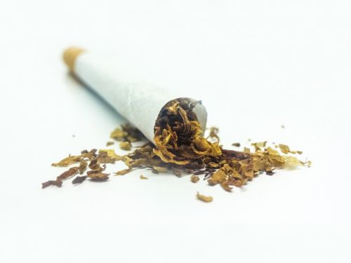 Tabakas, Cigarečių, Baltas Fonas, Balta, Rūkyta