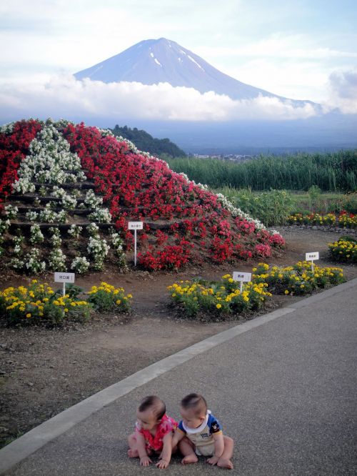 Mažiems Vaikams,  Montuoti & Nbsp,  Fuji,  Pavasaris,  Japonija,  Kūdikiai,  Mažiems Vaikams Ant Kalno Fuji