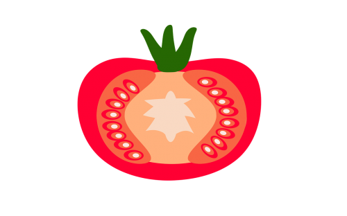 Pomidoras, Pomidorai, Vektorius, Daržovės