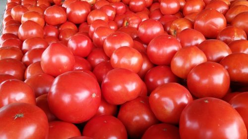 Pomidoras, Raudona, Prinokę, Daržovių, Šviežias, Vegetariškas, Maistas