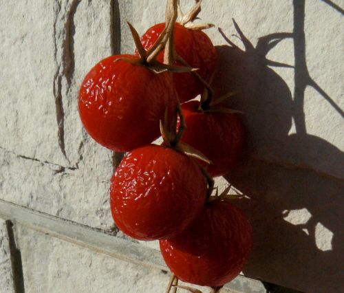 Pomidoras, Daržovių, Raudona, Saulė, Maistas, Sveikas, Ekologiškas, Vegetariškas