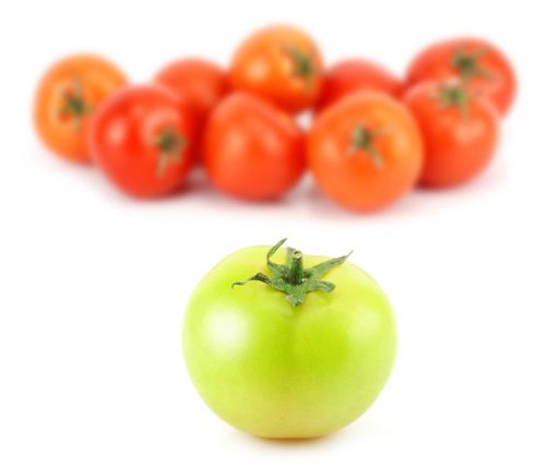 Pomidoras, Maistas, Daržovių, Žalias, Raudona, Baltas Fonas, Koncepcija