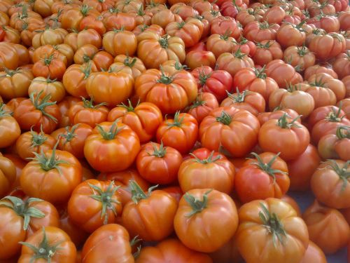 Pomidoras, Raudona, Maistas, Sveikas, Šviežias, Daržovių, Augalas, Gamta, Ekologiškas, Šviežumas, Pomidorai, Šiltnamyje