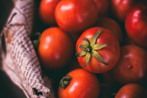 Pomidoras, Pasėliai, Daržovių, Raudona, Šviežias, Ingredientas
