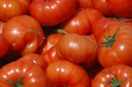 Pomidoras, Raudona, Galia