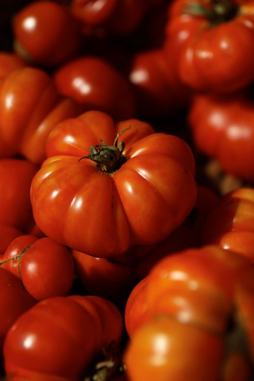 Pomidoras, Raudona, Prinokę, Palikuonys, Daržovių, Ekologiškas, Maistas, Šviežias, Sveikas, Derlius, Turgus