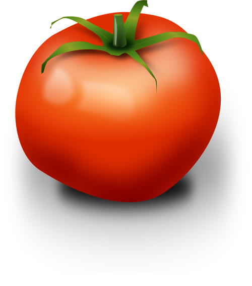 Pomidoras, Vaisiai, Raudona, Valgomieji, Uogos, Palikuonys, Solanum Lycopersicum, Likopenas, Maistas, Maistingas, Sveikas, Nemokama Vektorinė Grafika