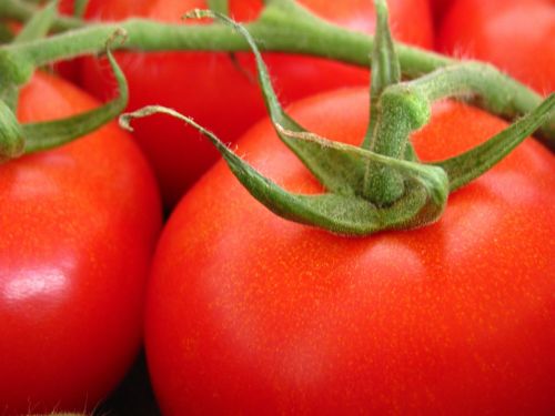 Pomidoras, Sodas, Gamta, Augalas, Raudona, Vaisiai, Daržovės