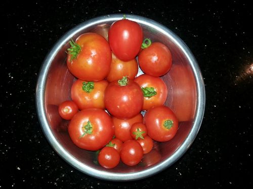 Pomidoras, Vaisiai, Dubuo, Mityba, Ekologiškas, Šviežias