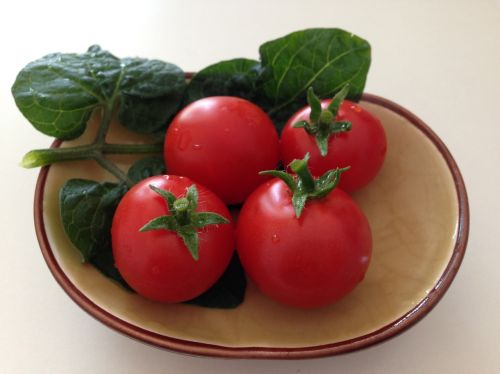 Pomidoras, Mažas Pomidoras, Daržovių, Raudona, Lėkštė, Žalias Lapas