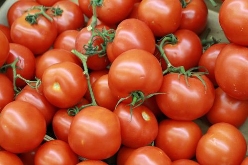 Pomidorai, Kanapių Pomidorai, Daržovių
