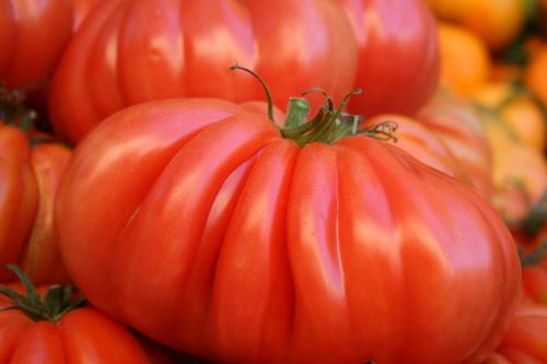 Pomidorai, Šviežios Daržovės, Vegetariškas, Raudona, Natūralus, Vietos Rinka