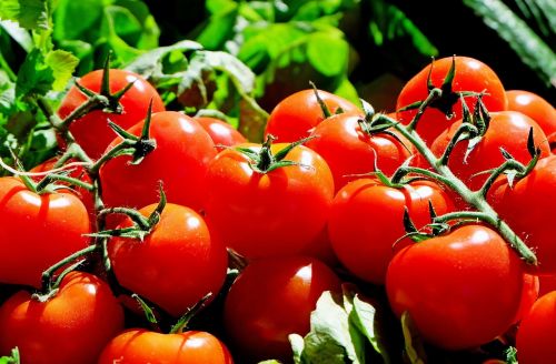 Pomidorai, Raudona, Maistas, Frisch, Turgus