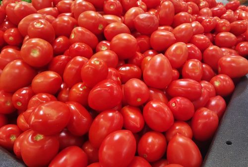 Pomidorai, Romų Pomidorai, Maistas, Bakalėja, Raudona, Daržovės, Pagaminti, Turgus, Šviežios Daržovės, Veganas, Vegetariškas, Prinokę, Ingredientas, Ekologiškas, Derlius, Pasėliai