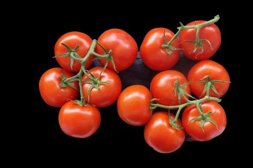 Pomidorai, Krūmų Pomidorai, Maistas, Raudona, Frisch