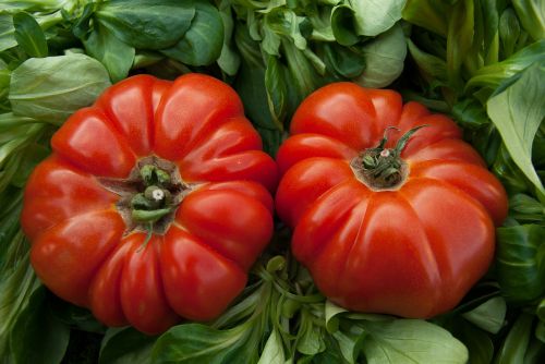 Pomidorai, Daržovės, Jautienos Širdis, Salotos, Kramtyti