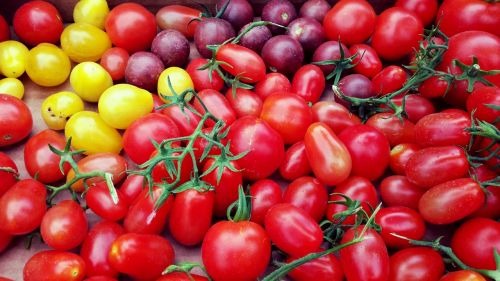 Pomidorai, Daržovės, Bio, Raudona, Sveikas, Namai, Sodas, Auginimas, Skanus