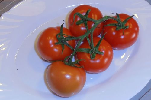 Pomidorai, Krūmų Pomidorai, Santvaros, Raudona, Maistas, Sveikas, Tomatenrispe