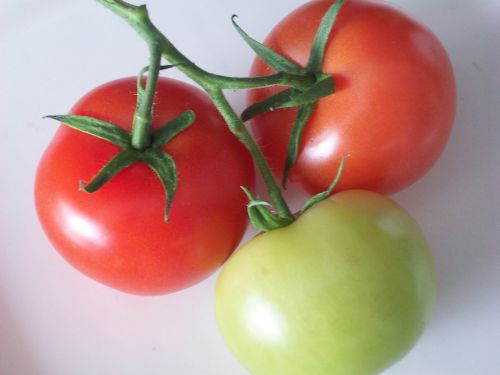 Raudona & Nbsp,  Pomidoras,  Žalias & Nbsp,  Pomidoras,  Pomidorai,  Pomidorai