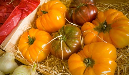 Pomidorai, Daržovės, Daržovių Sodas, Maistas