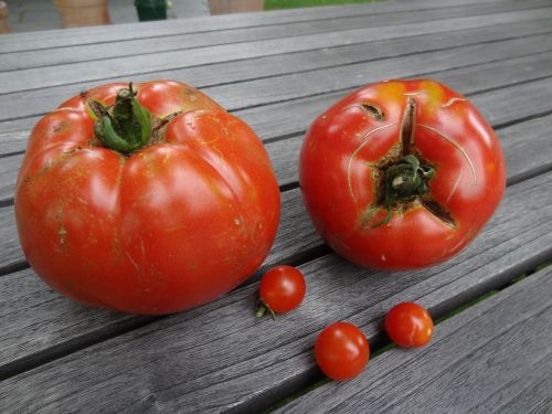 Pomidorai, Pomidoras, Daržovės, Sezoninis, Maistas, Raudona, Regioninis, Salotos
