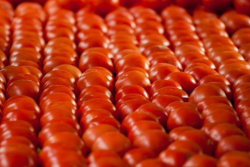 Pomidorai, Vaisiai, Daržovių, Daržovės, Vaisiai, Ekologiškas, Raudona