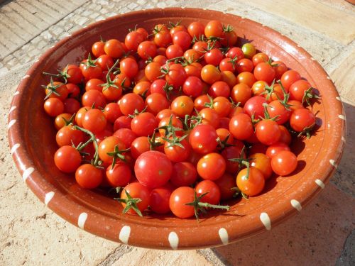 Pomidorai, Raudona, Vyšnia, Maistas, Pomidoras, Daržovių, Šviežias, Ekologiškas, Natūralus, Vegetariškas, Šviežumas