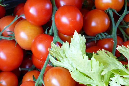 Pomidorai, Maistas, Sveikas, Daržovių, Ekologiškas, Žaliavinis, Raudona, Ingredientas