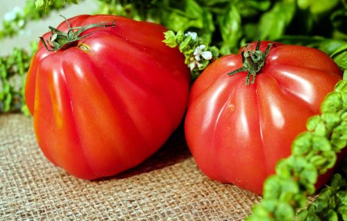 Pomidorai, Raudona, Maistas, Vegetariškas, Sveikas