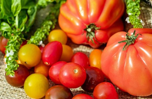 Pomidorai, Spalvinga, Vitaminai, Frisch, Derlius, Vasara