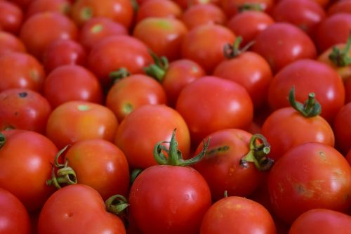 Pomidorai, Fonas, Raudona, Frisch, Organiniai Pomidorai, Krūmų Pomidorai, Daug, Kiekybiniai, Mityba, Daržovės, Sveikas, Valgyti, Prinokę