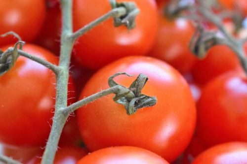 Pomidorai, Daržovės, Datailaufnahme, Maistas, Raudona, Viduržemio Jūros