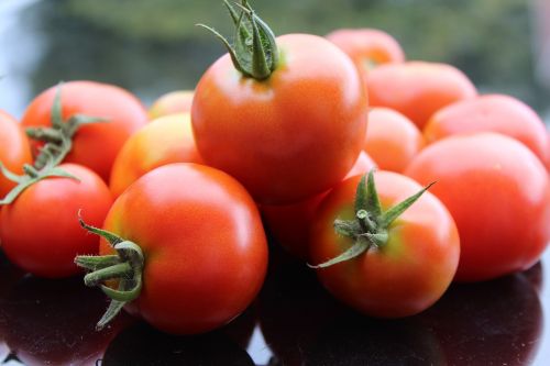 Pomidorai, Pomidorų Derlius, Raudona, Prinokę, Vaisiai, Daržovės, Maistas, Sveikas, Frisch, Skanus, Valgyti, Vitaminai