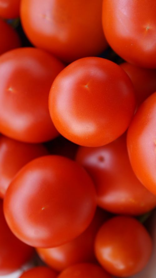 Pomidorai, Raudona, Prinokę, Daržovės, Sveikas, Derlius, Maistas, Vasara, Vitaminai, Vegetariškas, Skanus, Valgyti