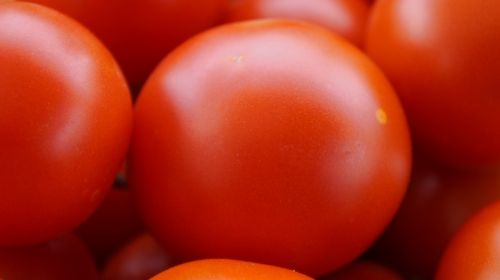 Pomidorai, Raudona, Prinokę, Vitaminai, Sveikas, Derlius, Maistas, Vasara, Subrendęs, Daržovės, Skanus