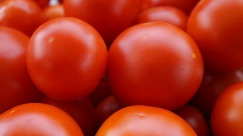 Pomidorai, Raudona, Prinokę, Daržovės, Maistas, Vegetariškas, Vitaminai, Frisch, Sveikas, Nachtschattengewächs