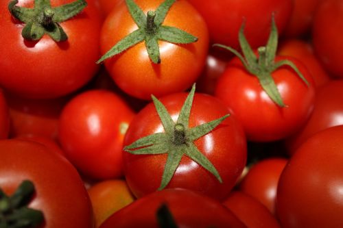 Pomidorai, Raudona, Daržovės, Derlius, Maistas, Vegetariškas, Frisch, Sveikas, Prinokę, Santvaros, Dubuo, Pomidorų Derlius, Vaisiai, Daug Organinių Pomidorų, Fono Paveikslėlis