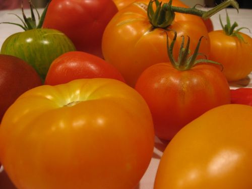 Pomidorai, Veislės, Įvairovė, Oranžinė, Žalias, Raudona