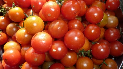 Pomidorai, Vyšniniai Pomidorai, Daržovės