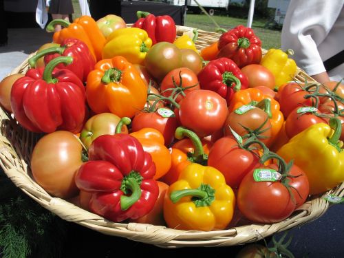 Pomidorai, Pipirai, Daržovės, Šiltnamyje, Mityba, Maistas, Sveikas, Vaisiai, Žalias, Vaisių Sodas