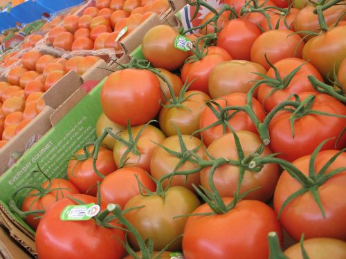 Pomidorai, Daržovės, Vaisiai, Gamta, Sveikas, Šiltnamyje, Šiltnamyje, Daržovių, Vaisių Sodas, Hidroponika, Apvalus, Pomidoras