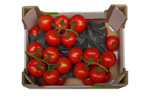 Pomidorai, Santvaros, Dėžė, Skaidrus, Izoliuotas