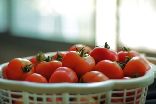 Pomidorai, Vaisiai, Raudona, Salotos, Maistas, Sveikas, Mityba, Šviežias, Ekologiškas, Mityba, Saldus, Spalvinga, Skanus, Natūralus