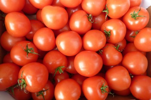 Pomidorai, Raudona, Daržovės, Maistas, Sveikas