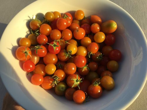 Pomidorai, Vyšniniai Pomidorai, Patiekalas Su Pomidorais