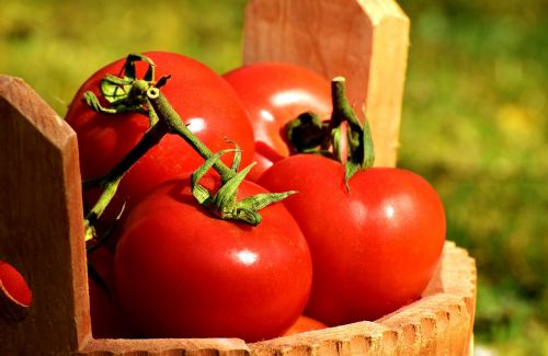 Pomidorai, Daržovės, Kibiras, Prinokę, Raudona, Sveikas, Gamta, Vitaminai, Maistas