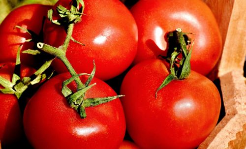 Pomidorai, Daržovės, Kibiras, Prinokę, Raudona, Sveikas, Gamta, Vitaminai, Maistas