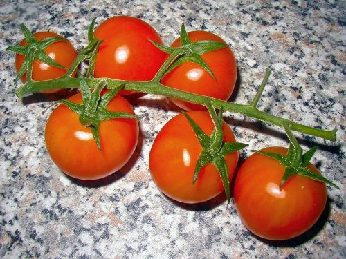 Pomidorai, Daržovės, Maistas, Raudona, Frisch