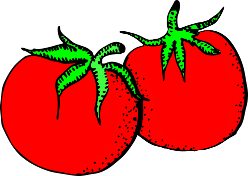 Pomidorai, Raudona, Vaisiai, Uogos, Palikuonys, Solanum Lycopersicum, Šviežias, Spalvinga, Šviesus, Sveikas, Maistingas, Skanus, Valgyti, Žalias, Nemokama Vektorinė Grafika