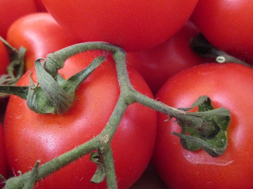 Pomidorai, Daržovės, Solanacea, Ekologiškas